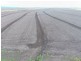Boolah Group – Land & Business Investment, Moree NSW 2400