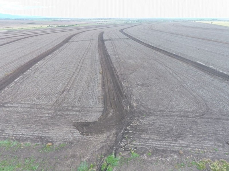 Boolah Group – Land & Business Investment, Moree NSW 2400