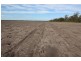 Boolah Group – Land & Business Investment, Moree NSW 2400