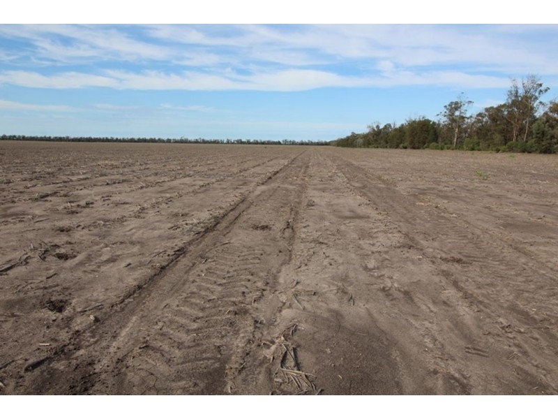 Boolah Group – Land & Business Investment, Moree NSW 2400