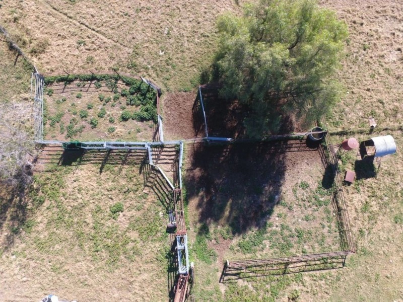 Errolston, Bingara NSW 2404