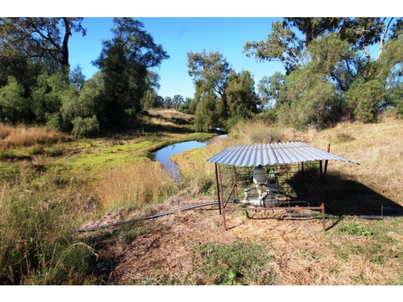 Errolston, Bingara NSW 2404