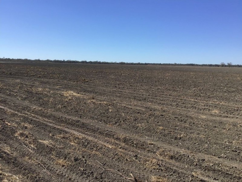 Part “Bukulla”, Collarenebri NSW 2833