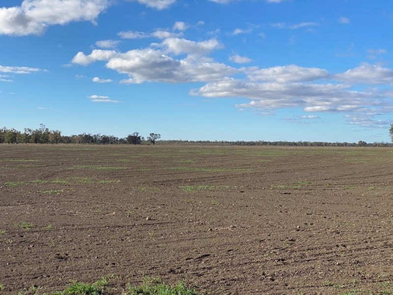 Part “Bukulla”, Collarenebri NSW 2833