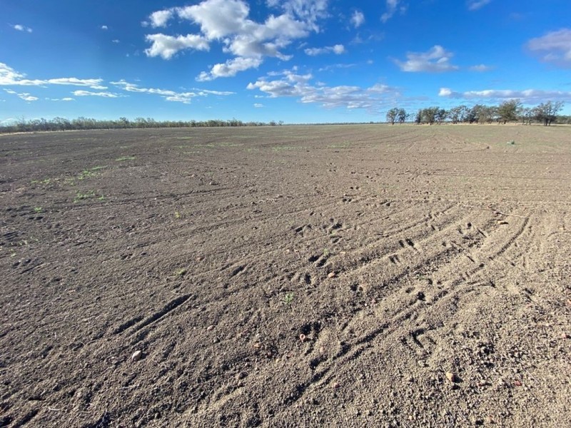 Part “Bukulla”, Collarenebri NSW 2833