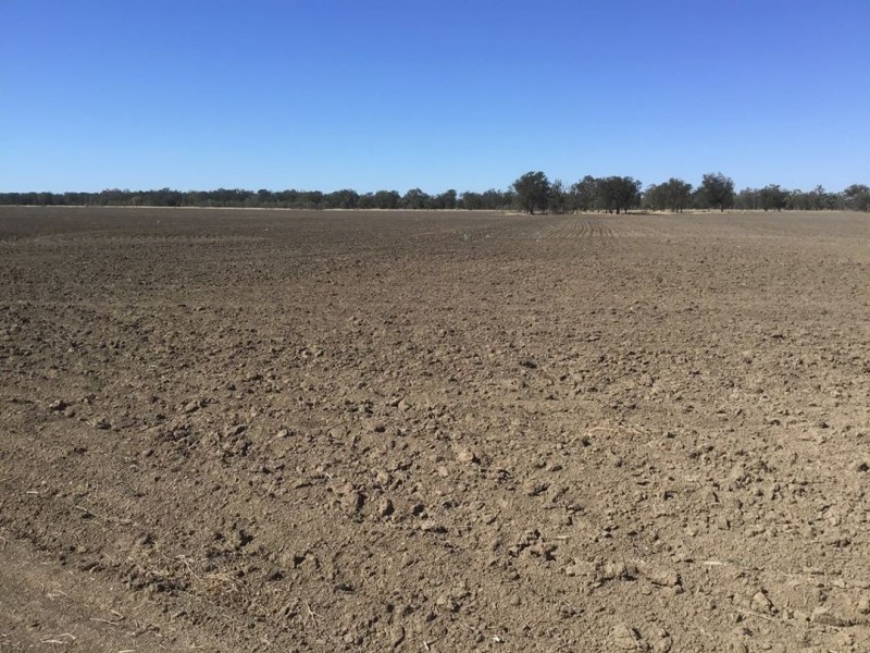 Part “Bukulla”, Collarenebri NSW 2833