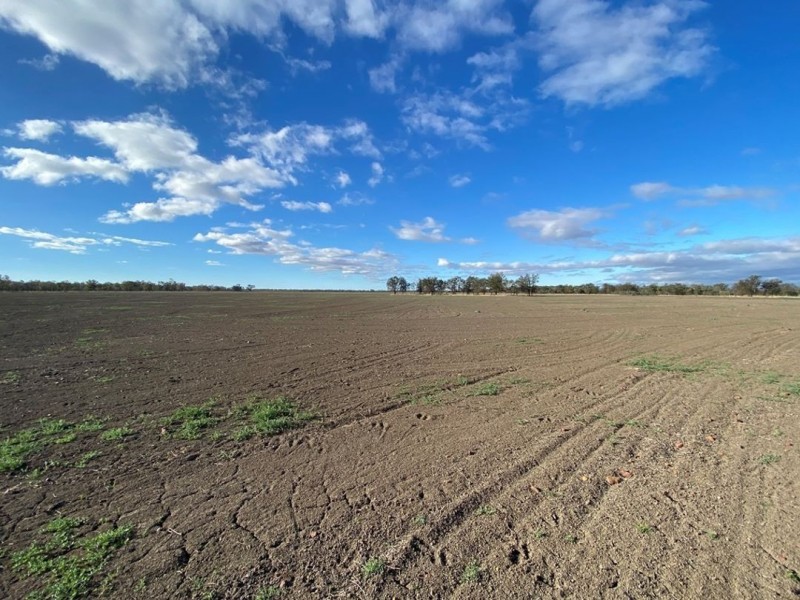 Part “Bukulla”, Collarenebri NSW 2833