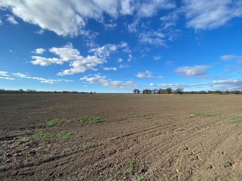 Part “Bukulla”, Collarenebri NSW 2833