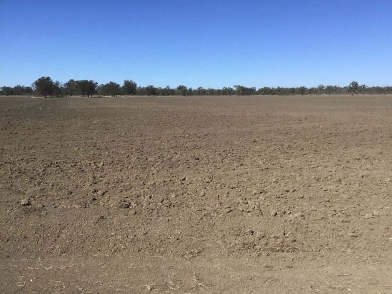 Part “Bukulla”, Collarenebri NSW 2833