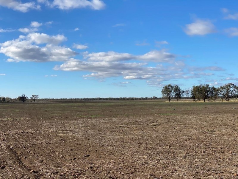 Part “Bukulla”, Collarenebri NSW 2833