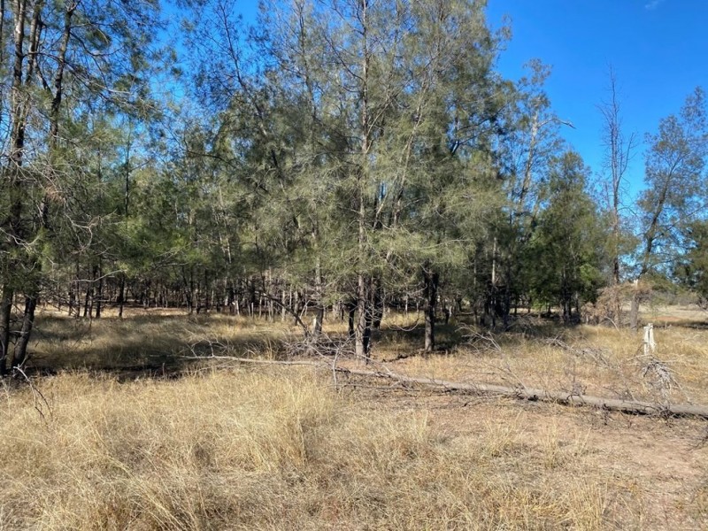 Part “Bukulla”, Collarenebri NSW 2833