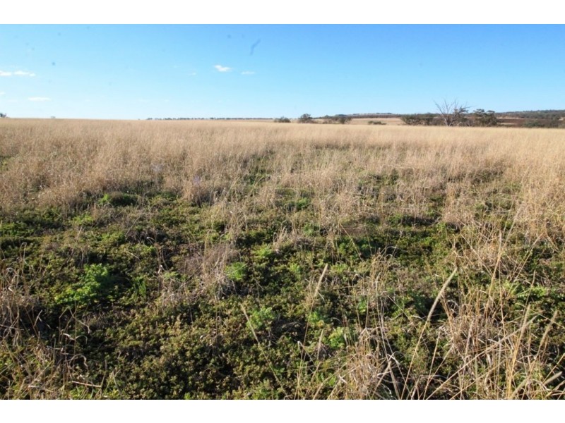 Glen Rock, Delungra NSW 2403