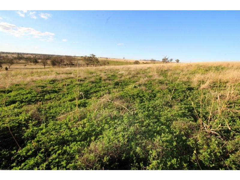 Glen Rock, Delungra NSW 2403