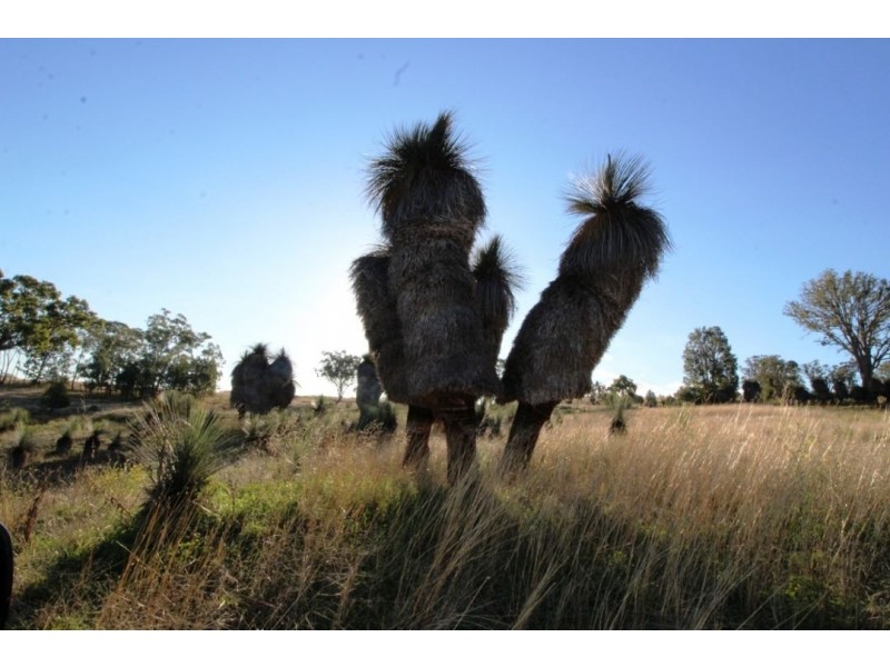 Glen Rock, Delungra NSW 2403