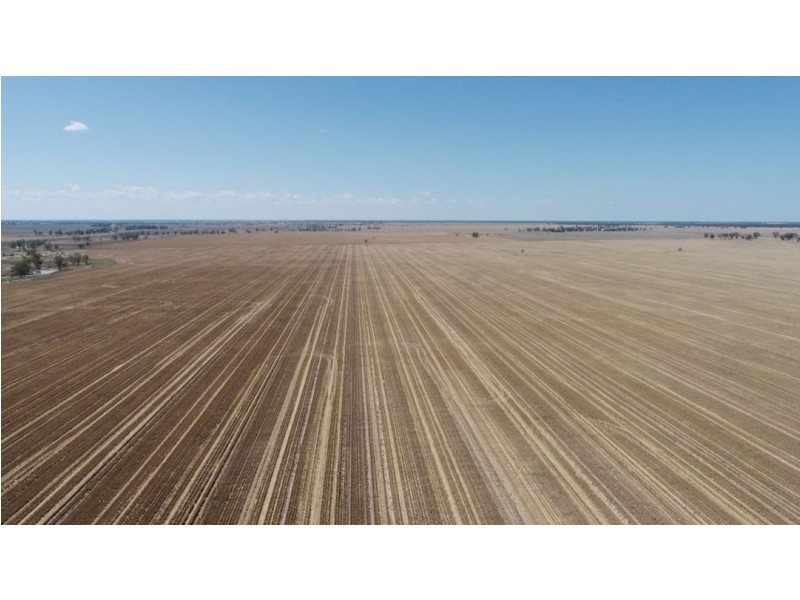 Muttama Station, Coonamble NSW 2829