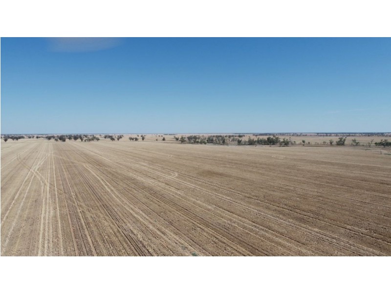 Muttama Station, Coonamble NSW 2829