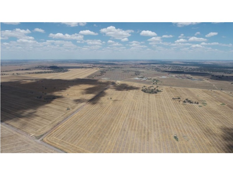 Muttama Station, Coonamble NSW 2829