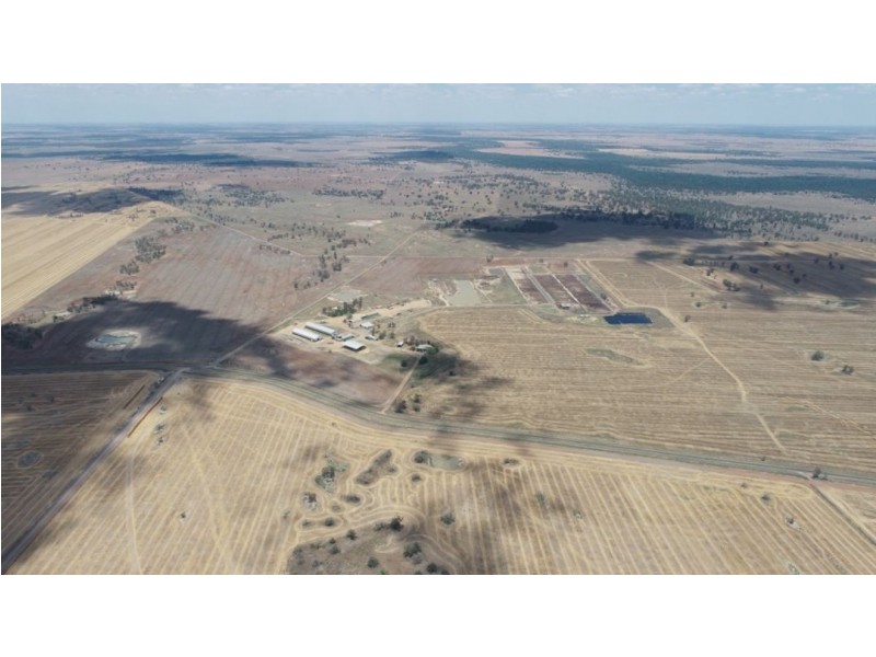 Muttama Station, Coonamble NSW 2829