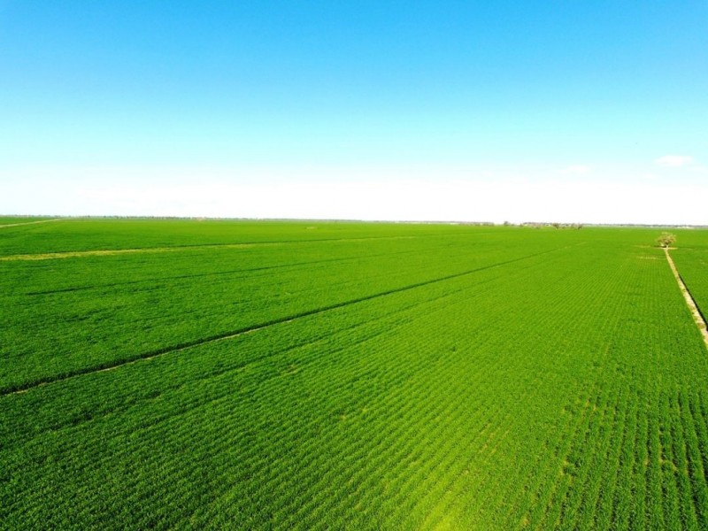 Muttama Station, Coonamble NSW 2829