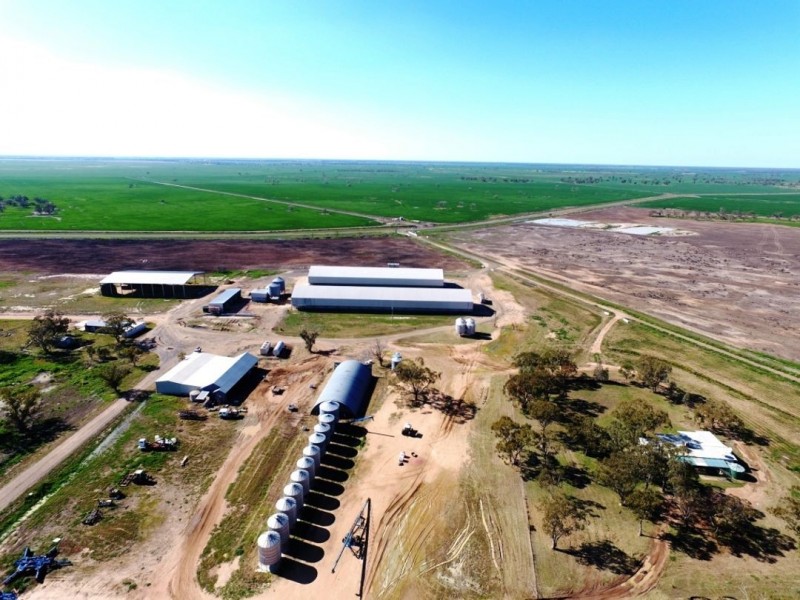 Muttama Station, Coonamble NSW 2829