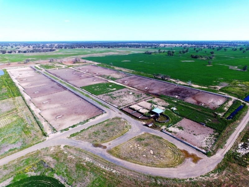 Muttama Station, Coonamble NSW 2829