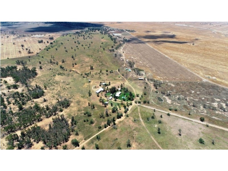 Muttama Station, Coonamble NSW 2829