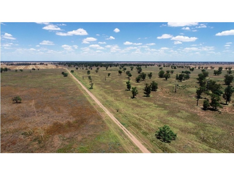 Muttama Station, Coonamble NSW 2829