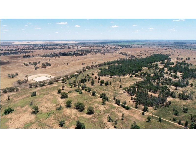 Muttama Station, Coonamble NSW 2829