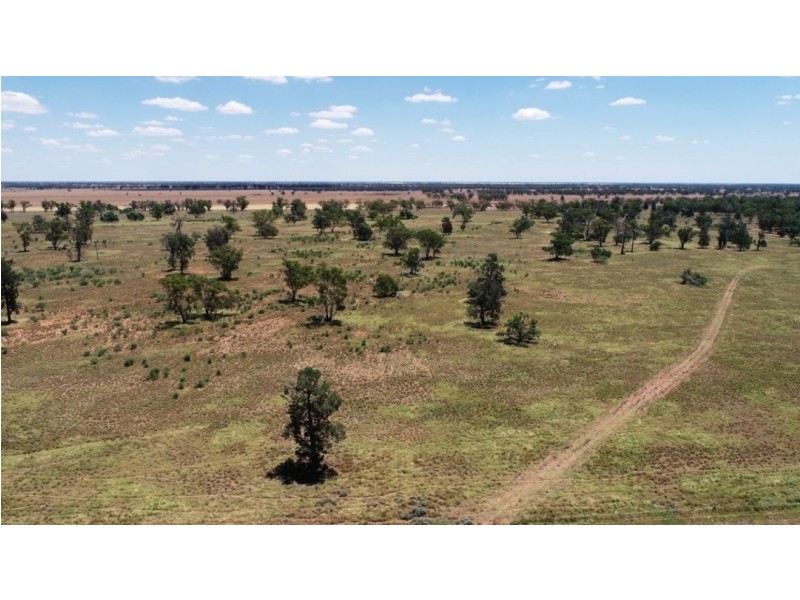 Muttama Station, Coonamble NSW 2829