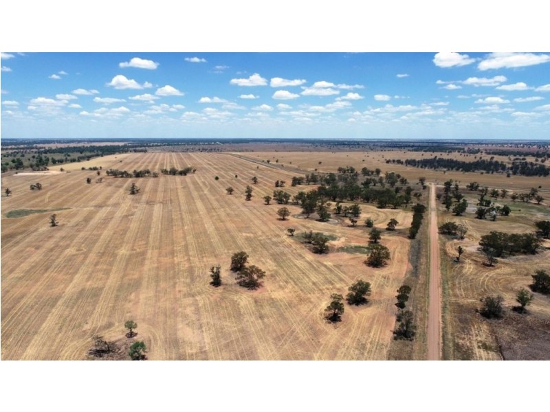 Muttama Station, Coonamble NSW 2829