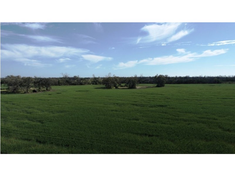 Mardell, Moree NSW 2400