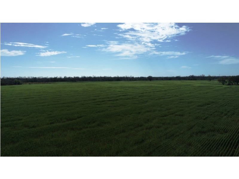 Mardell, Moree NSW 2400