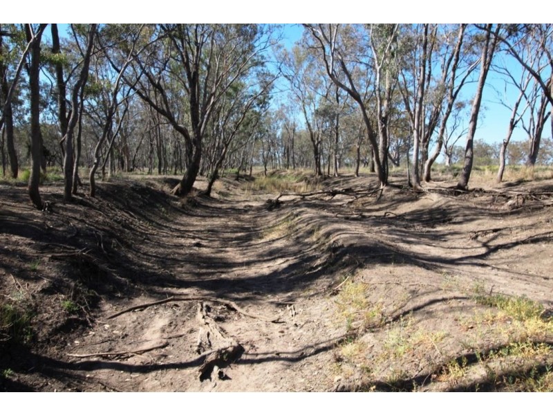 Mardell, Moree NSW 2400