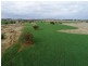 Woodcourte, Warialda NSW 2402