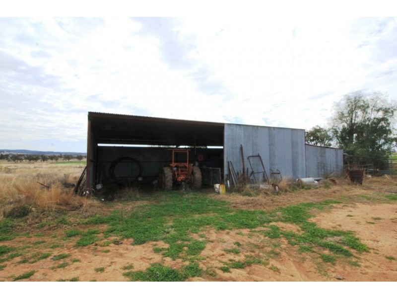Woodcourte, Warialda NSW 2402
