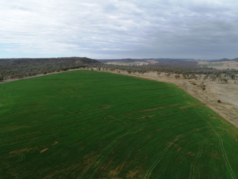 Bellevue Hill, Warialda NSW 2402