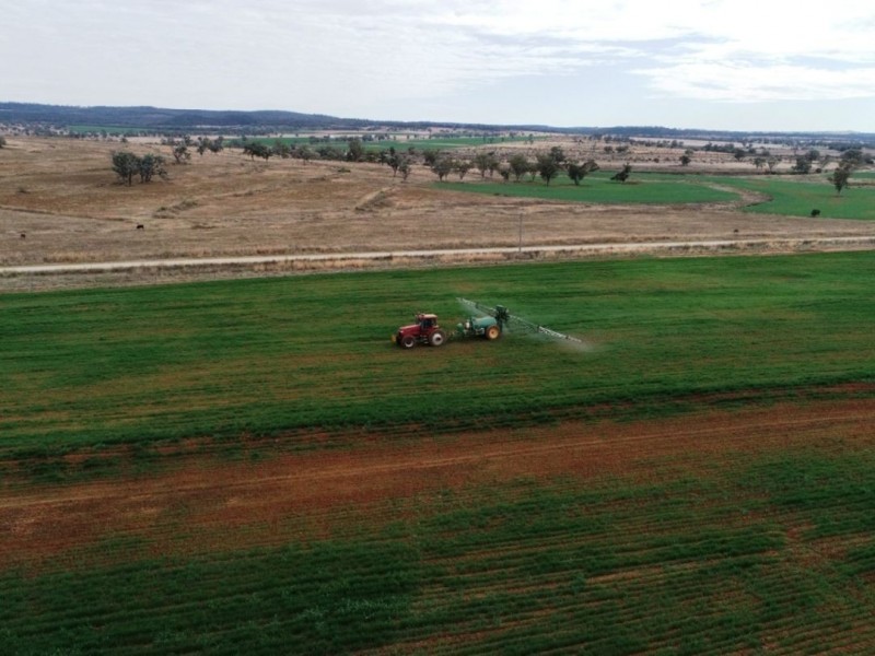 Bellevue Hill, Warialda NSW 2402