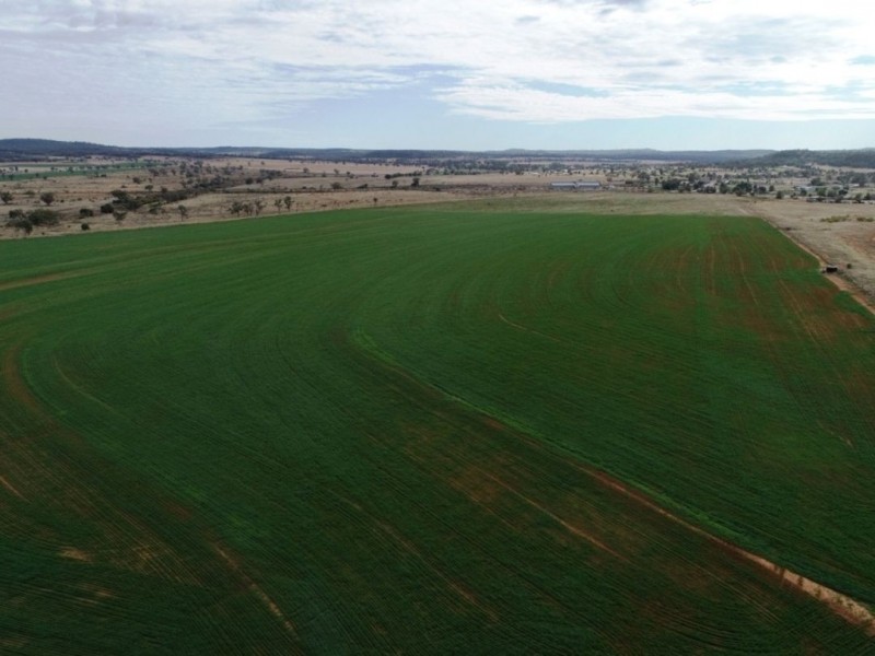 Bellevue Hill, Warialda NSW 2402