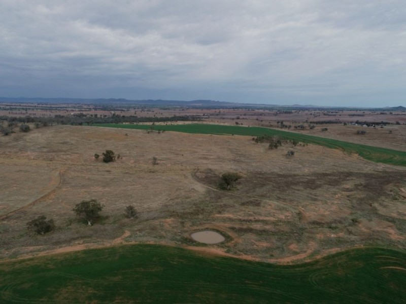 Bellevue Hill, Warialda NSW 2402