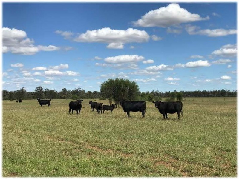 Charlton, Bungunya QLD 4494