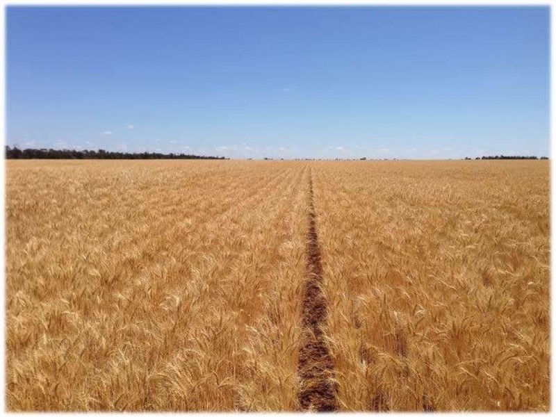 Charlton, Bungunya QLD 4494