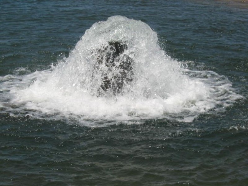 Lower Gwydir Bore Water Auction, Moree NSW 2400