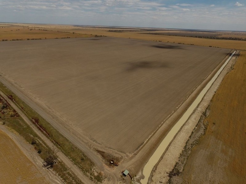 Crossdale, Walgett NSW 2832