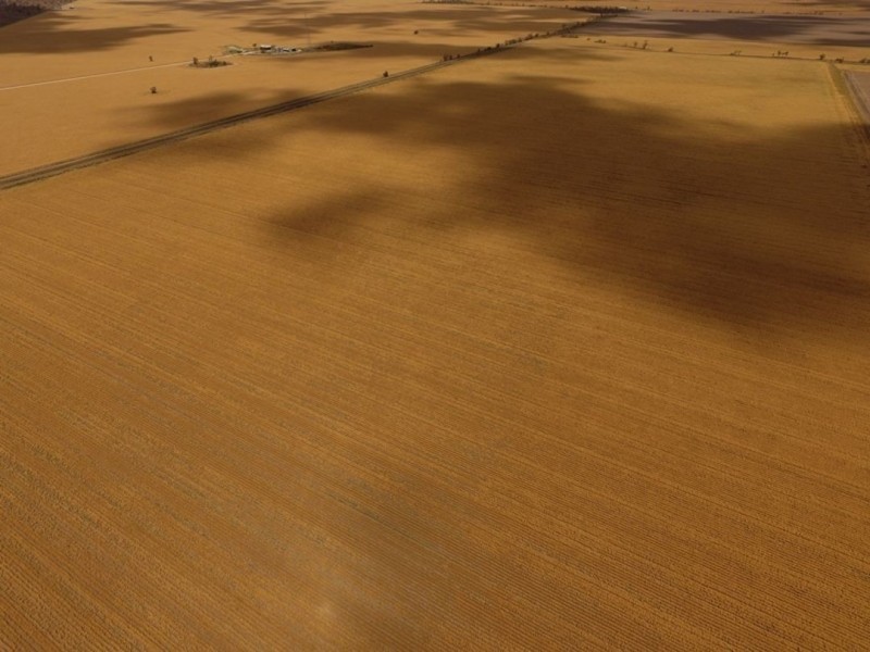 Crossdale, Walgett NSW 2832