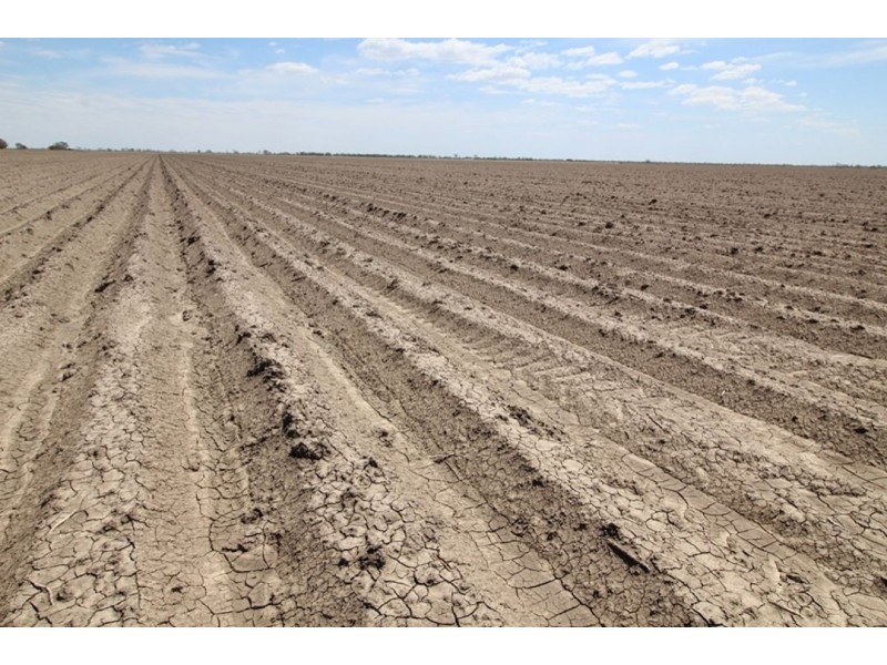 Crossdale, Walgett NSW 2832