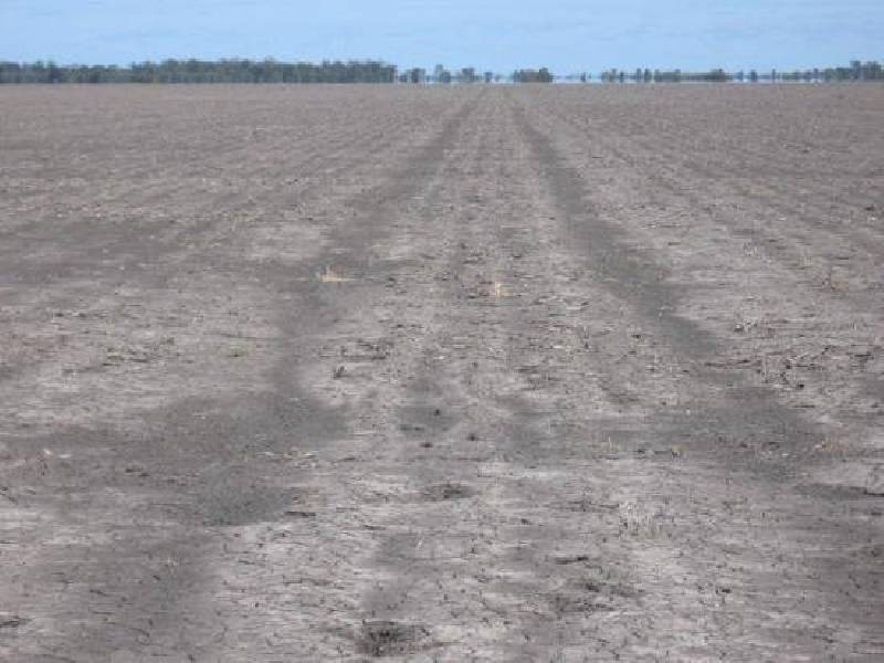 ‘ DUNMORE’, Garah NSW 2405