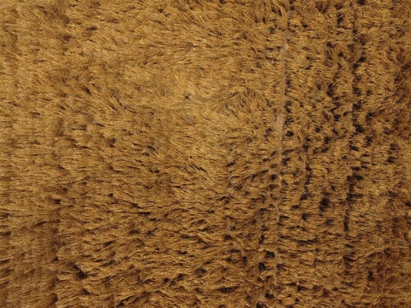 Weroona, Gunnedah NSW 2380