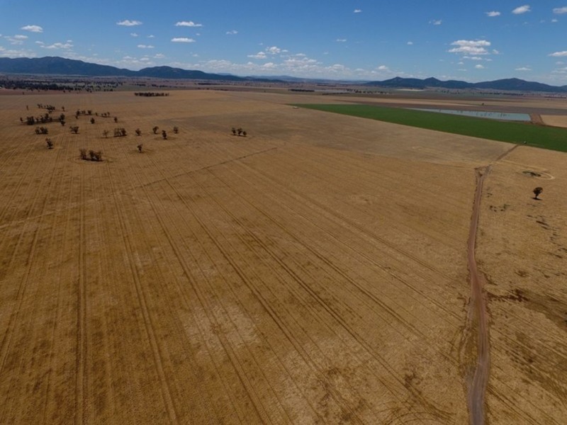 Weroona, Gunnedah NSW 2380