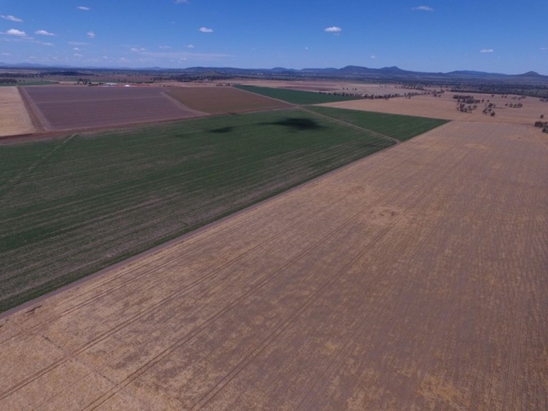 Weroona, Gunnedah NSW 2380