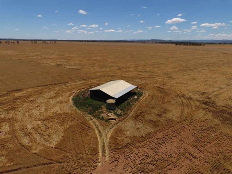 Weroona, Gunnedah NSW 2380